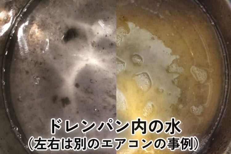 ドレンパン内でスライム化した結露水